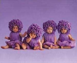Bébés fleuris