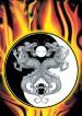tout feu-tout flamme