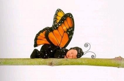 bébé-papillon