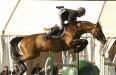 saut d'obstacle