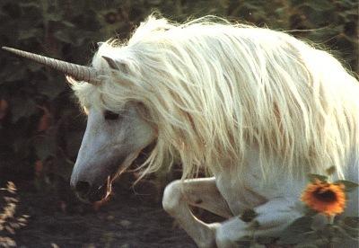 licorne